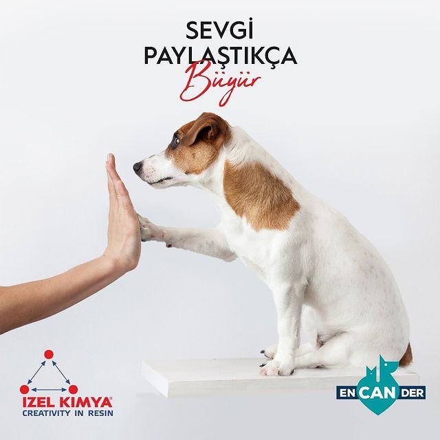 �zel Kimya�dan Encander�e Sevgi Dolu Bir Hediye: Hayvanlar� Koruma G�n��nde Birlikteyiz!